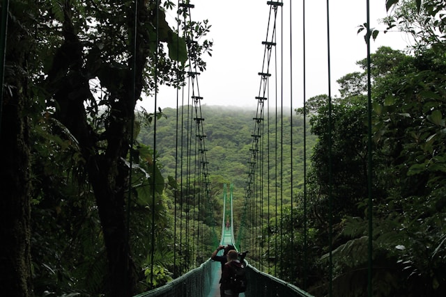 Monteverde Cloud Forest