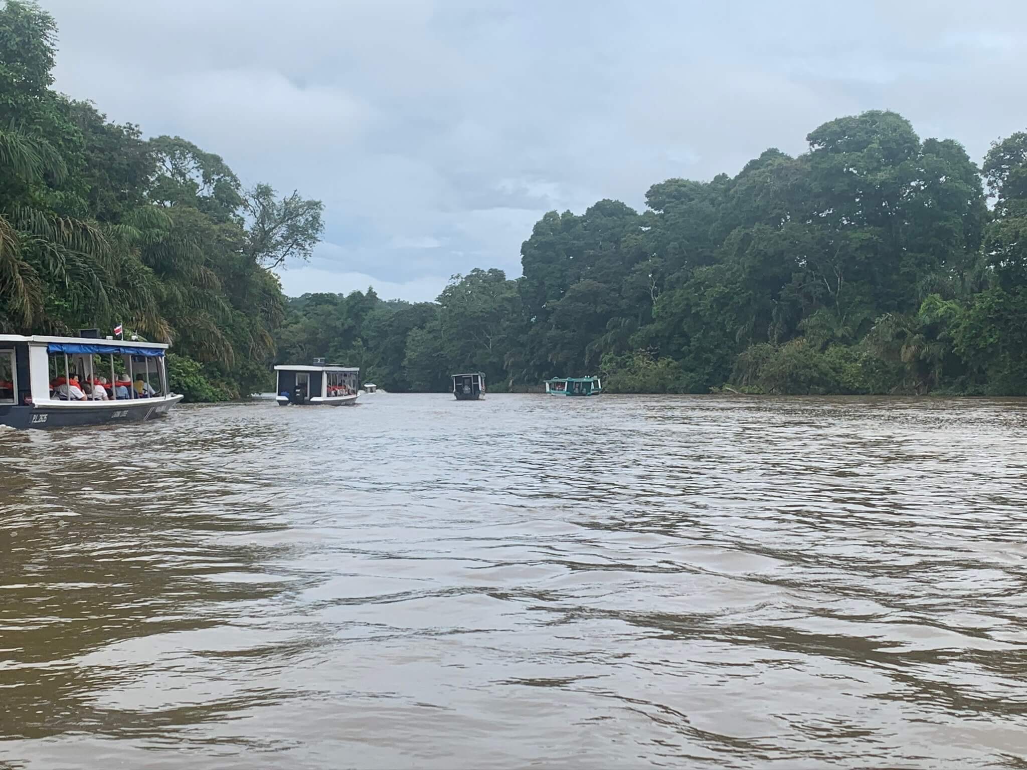 Tortuguero