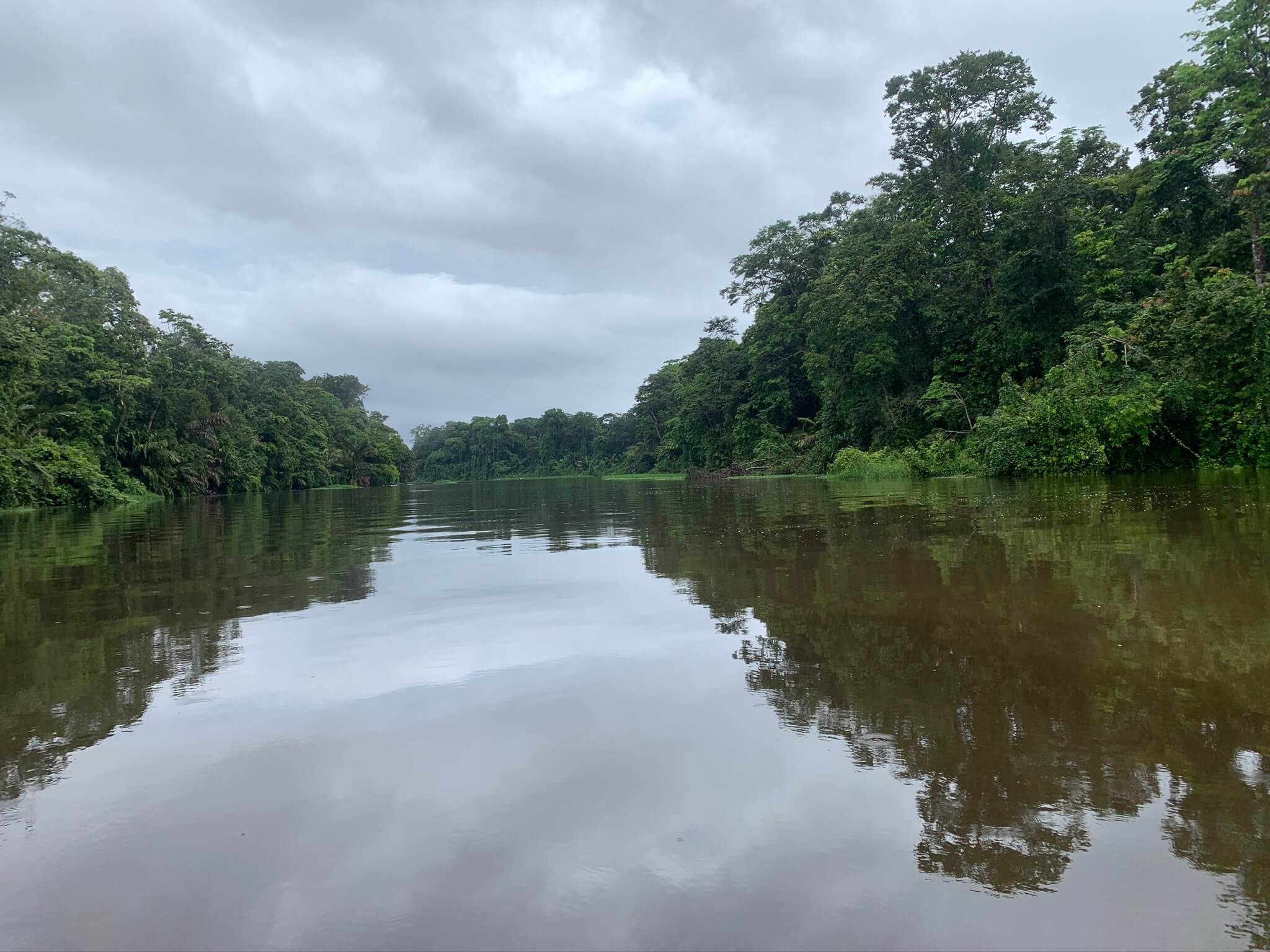 Tortuguero
